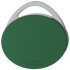 Dialock Tag-it Tech-Key Tag 36x5.3mm Grn 917.44.145