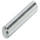 Shelf Support D5x24mm Plug Steel NP