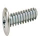 Panel Mnt Screw Flt PZ2 D5.0x27.5mm Steel Glv