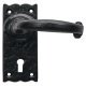 Wessex Lvr Hdls+Plt Lock Std KW BA