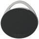 Dialock Tag-it Tech-Key Tag 36x5.3mm Black