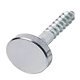 Mirror Screw+Cap Set Flat Disc Steel CP/PCP
