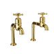 Bidbury&Co Caswell Bibcock Taps PG