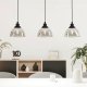 Eglo Beleser 3 Plastic 905 3x60W E27 Black/Trn