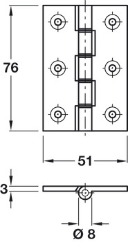 Butt Hinge DPBW D9x76x51mm Ext Brs PC - view 2