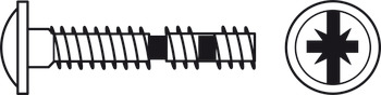 Snap off Screw Pan M4x20-45mm Steel YZP x100 - view 3