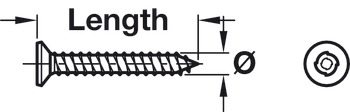 Sentinel®Security Screw Countersunk PZ2 4.2x38mm - view 2