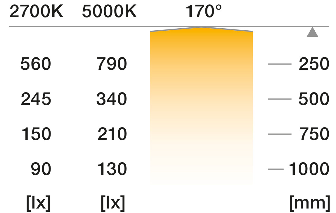 Loox5 LED3171 COB 8mm 5M 24V/4.8W 4K - view 5