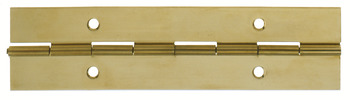 Cont Hinge 1834x38x0.9mm 36 Holes Brs Polished Brass