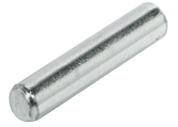 Shelf Support D5x24mm Plug Steel NP