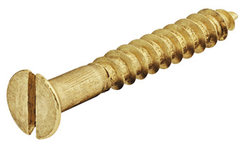 Wood Screw Sgl Slot Prt Countersunk D2.5x16mm BBrs