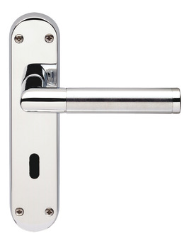Mitred Lever Hdls/Plt Lever Brass P/SC