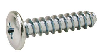 Panel Mnt Screw Flt PZ2 D5.0x27.5mm Steel Glv