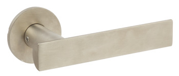D Section Lever Hdls/Roses 316 PSS 902.21.781