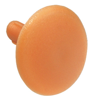 Cover Caps D12.5mm SW4 Phillips Plastic Pine Colour