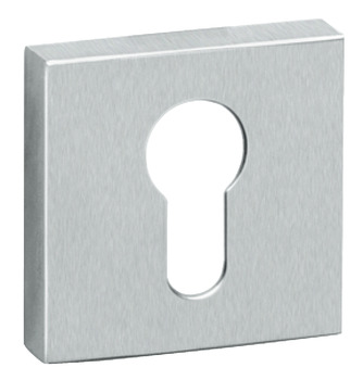 Tec/Metro/Vogue Escutcheons Pro Cyl SSS