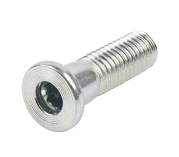 Screw M10x33mm for Plinth Steel Glv