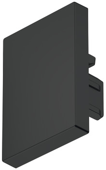 Loox5 2103 Profile Endcaps SM Plastic Black