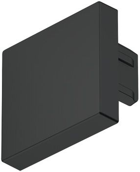 Loox5 2101 Profile Endcaps SM Plastic Black
