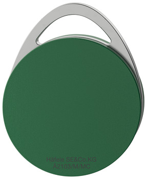 Dialock Tag-it Tech-Key Tag 36x5.3mm Grn