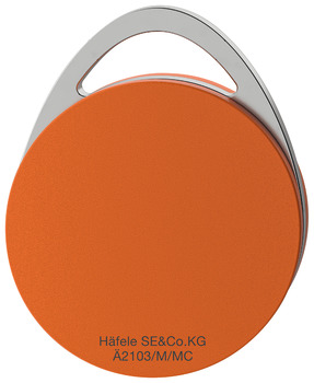 Dialock Tag-it Tech-Key Tag 36x5.3mm Orn