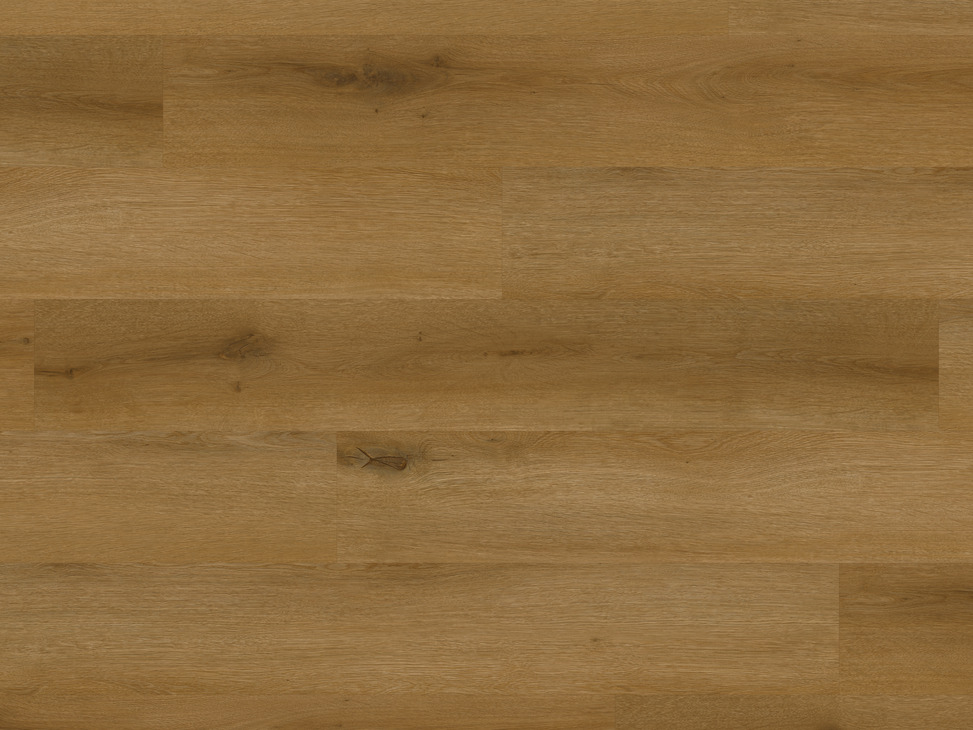 Palio Rigid Nxt Gen Trnto Charac Oak x14 984.80.084