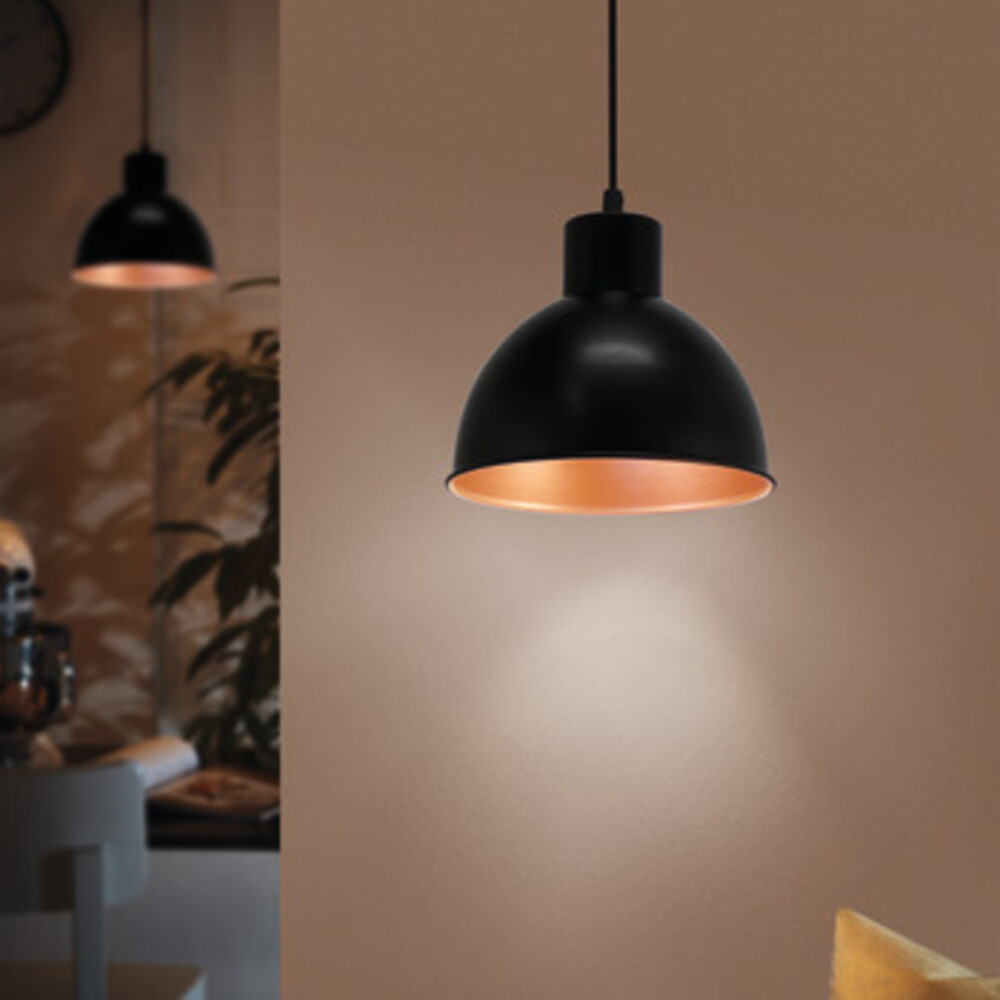 Eglo Truro 1 Plastic D210 1x60W E27 Black/Copper