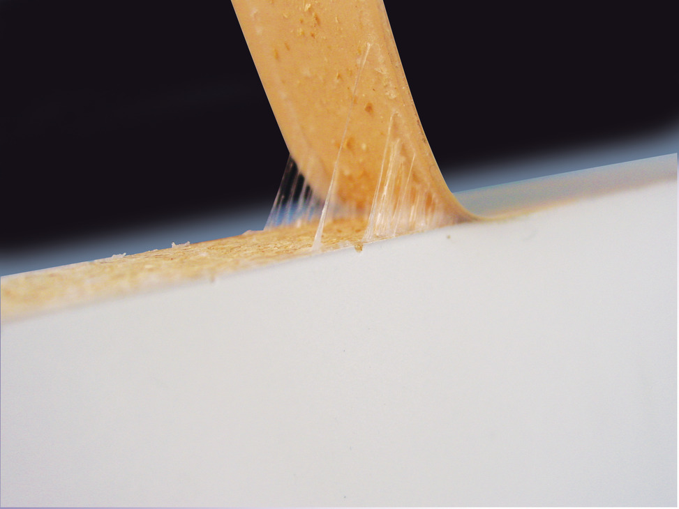 FastEdge Edgebanding PVC 19mm 15m Wht - view 3