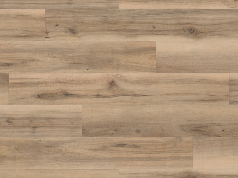 Palio Core Galina RCP6547 x10 984.80.070