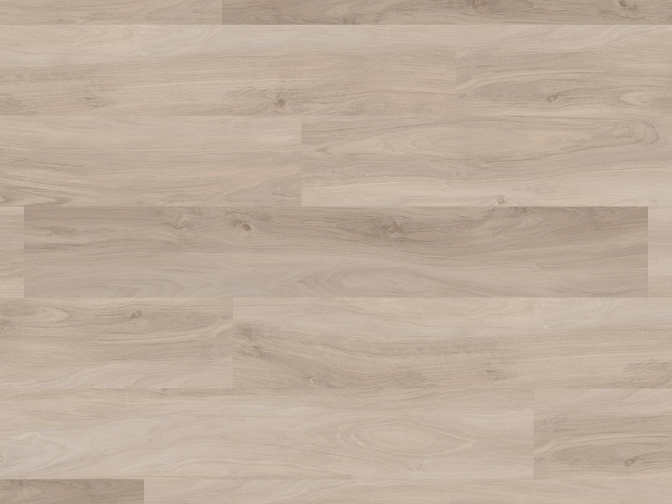 Palio Core Barletta RCP6549 x10 984.80.072