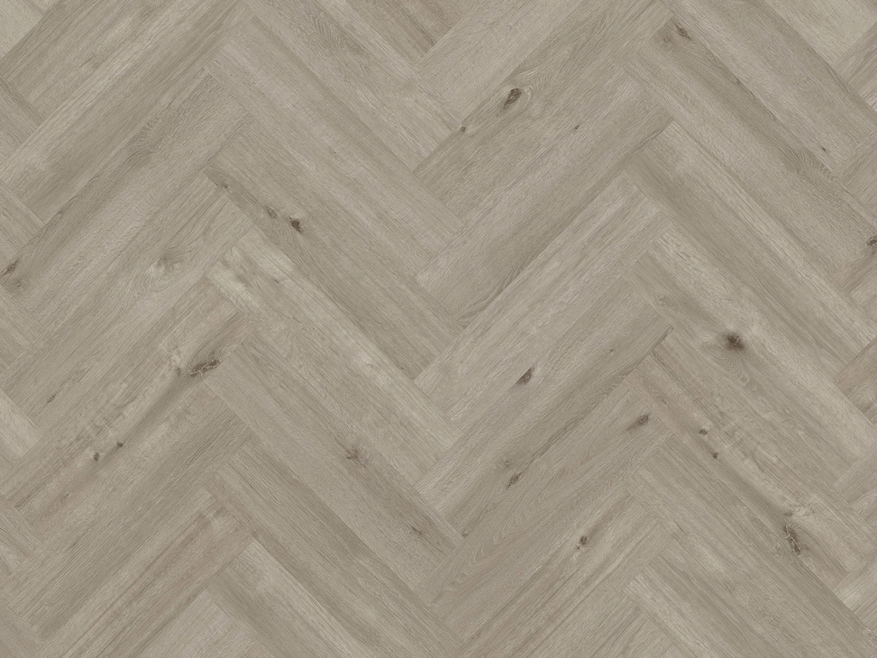 Palio Core Monza SM-RCP6551 x22