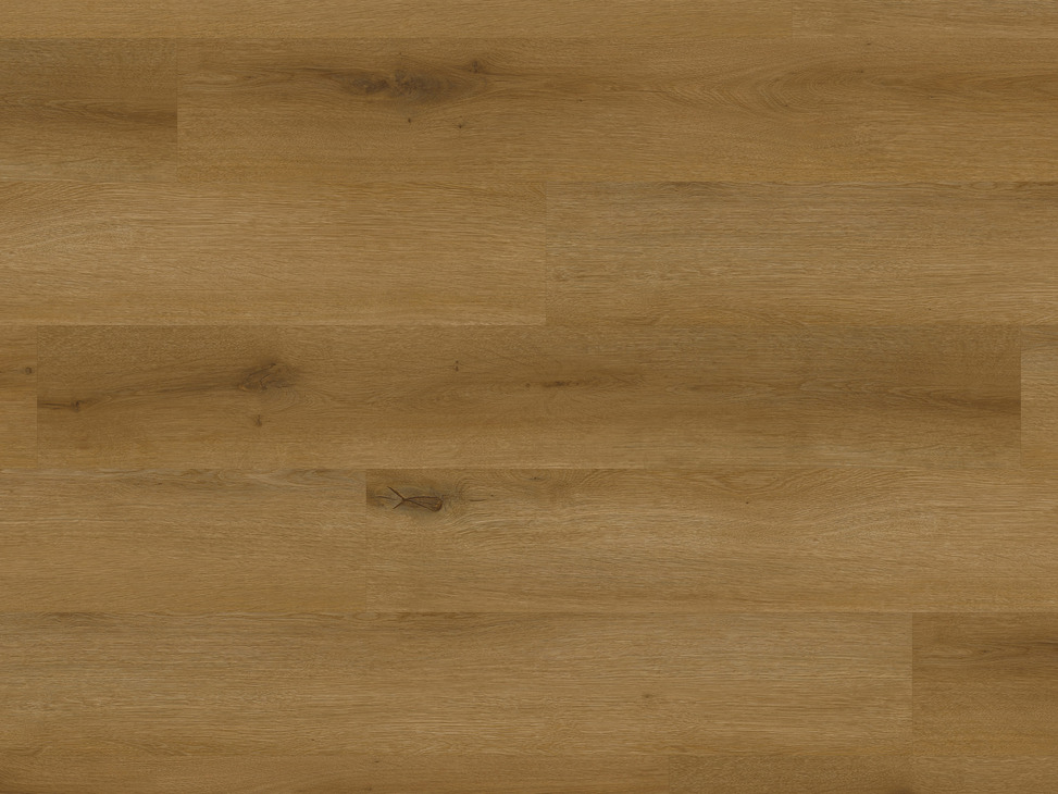 Palio Rigid Nxt Gen Trnto Charac Oak x14 - view 2
