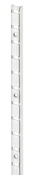 Shelf Support Strip Grv+Screw 3.5m SNP 283.12.014