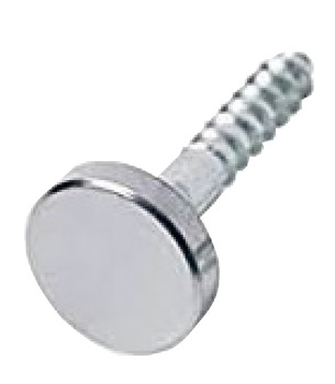 Mirror Screw+Cap Set Flat Disc Steel CP/PCP