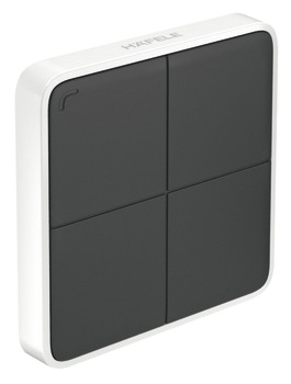 Hafele ConMsh Wall Mnt Swt PushButton