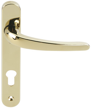 Lvr Hdls/Plt Multipoint Zinc Alloy PVD Polished Gold