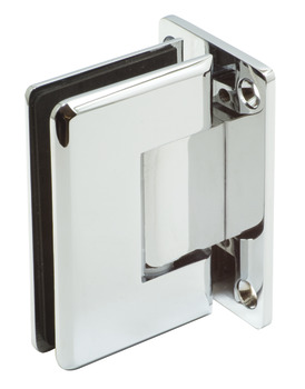 180D Shower Dr Hinge Wall-Gls Brs PCP 981.78.267