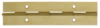 Cont Hinge 1834x38x0.9mm 36 Holes Brs Polished Brass 351.16.800
