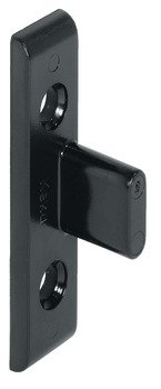 Frame Component EH SM Var Mk.Black 262.49.366