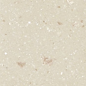 Maia U/S 3680x70x10mm Fossil 562.71.605