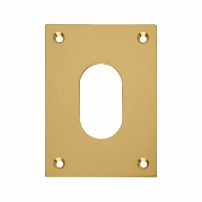 Jumbo Escutcheon - 65.5 x 47.6mm - Oval - Polished Brass