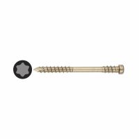 T-Star Plus Cylindrical Head Decking Screw - 5.0 x 60mm - A2 Stainless Steel - Pack of 100