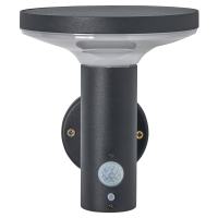 Forum Zink Claire 2W LED Solar Outdoor Down Wall Light with PIR - IP44 - 3000K Warm White - Black