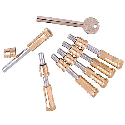 Vertical Sliding Sash Screw - Satin Brass - Pack of 6 with 1 Key