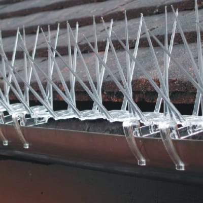 Spikes - Pack of 6