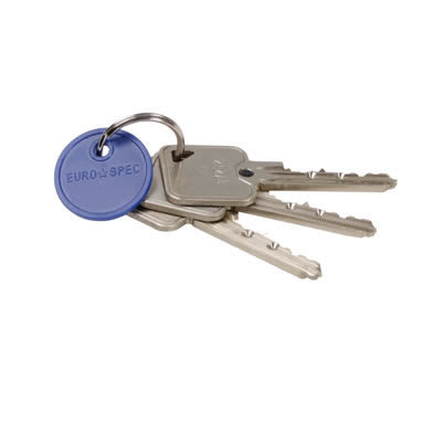 10 Pin Cylinder Key - Extra Differ Key