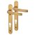 1710RH/3670N Gold uPVC Multipoint Door Handles - Short Plate - 92mm c/c - Tokyo Range