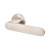 Satin Stainless Steel Door Handles on Round Rose - Parigi Range