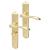 Polished Brass Bathroom Door Handles - Long Plate - Altea Range - 240 x 41mm