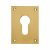 Jumbo Escutcheon - 65.5 x 47.6mm - Euro - Polished Brass